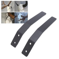 European Skull Hanger Wall