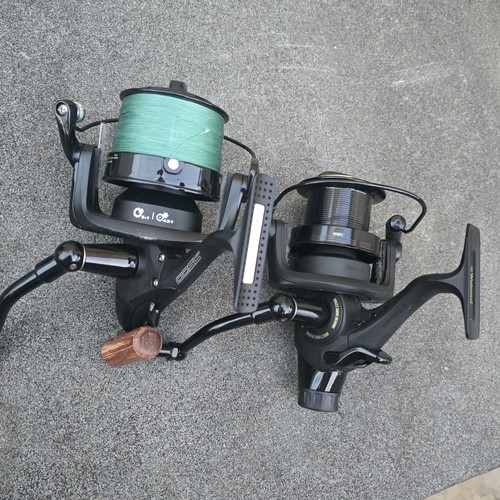 Pair wychwood carp - of,