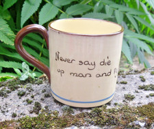 Watcombe Motto Ware Mug Vintage Hand Painted Cottage Devon Pottery Never Say Die