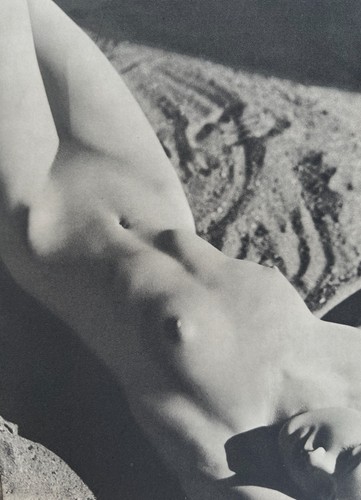 Nude study plate published - nude,