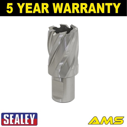Sealey worksafe 25mm hss - sealey,