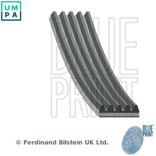 Vribbed belt ad05r1330 - vribbed,