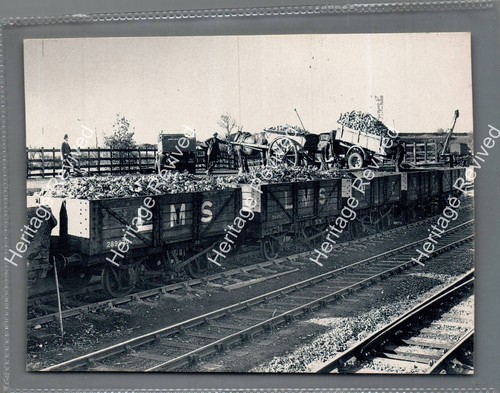 Vintage kings cliffe - vintage,