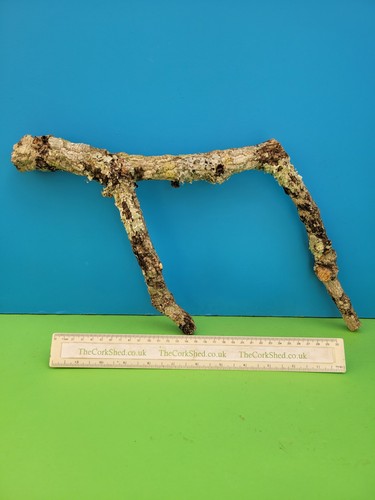 Cork bark branch 24cm snake - cork,