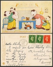 Chinese Giant Panda Pandas