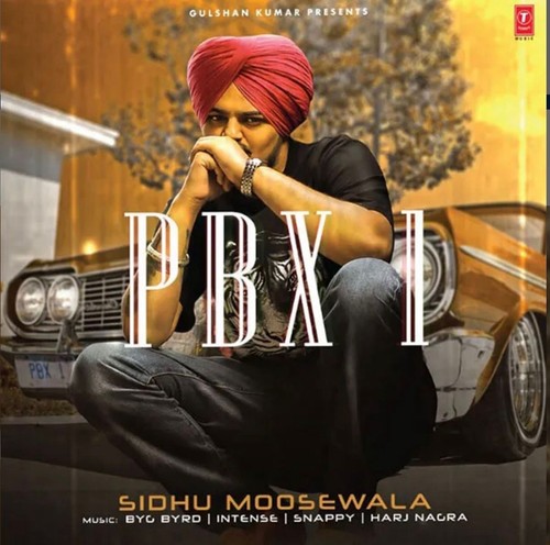 Record punjabi vinyl sidhu - punjabi,