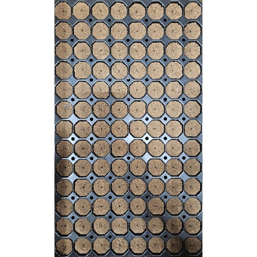 Seedling plug tray kit - plug,