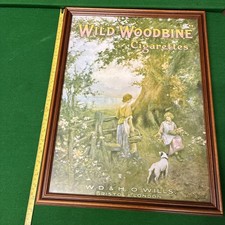 Wild Woodbine Cigarettes Poster Framed From A House Clearence Loveley Condition