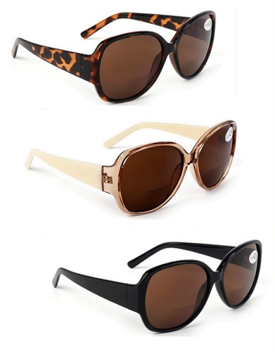 Bifocal sun reader glasses - reader,