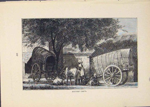 Original old antique print - original,