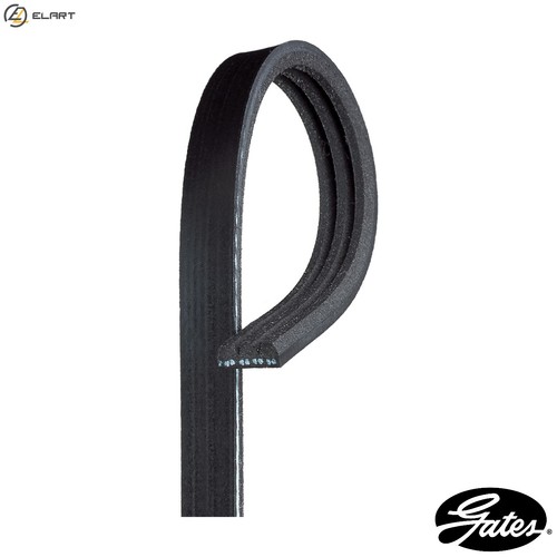Vribbed belt 3pk705 for - belt,