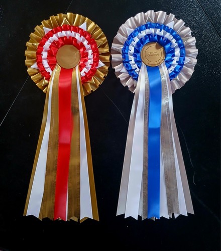 Tier champion and reserve - x2, 4