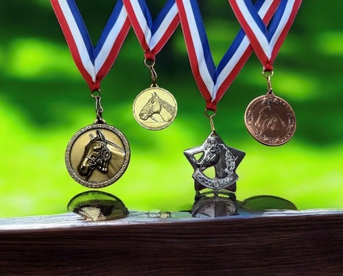 Equestrian medals ribbons - on,