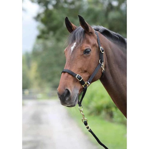 Shires control headcollar - control, in