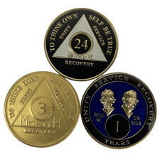 Alcoholics Anonymous 24 Hrs +