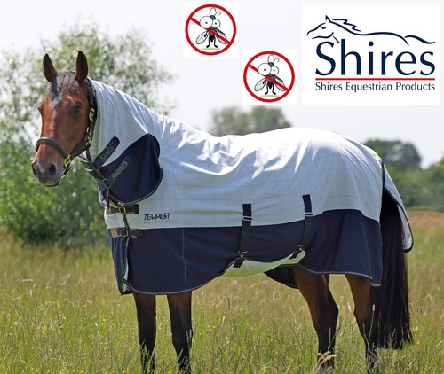Shires tempest summer - shires,