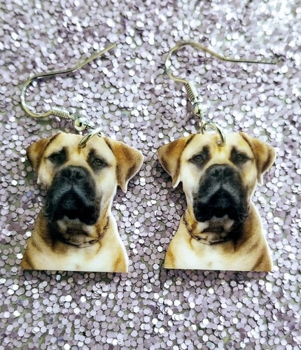 English mastiff bullmastiff - english,
