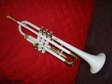 Trumpet  SALE! NEW WHITE COLOURED STUDENT Bb FLAT TRUMPET FREE HARD CASE+M/P