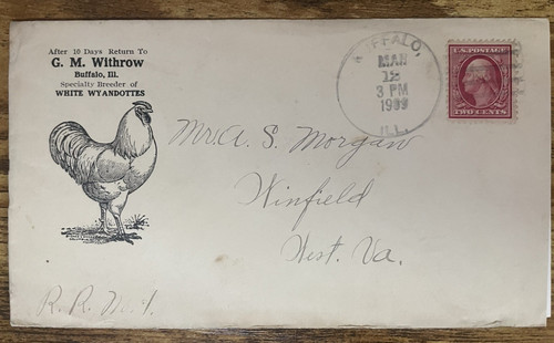 1900s poultry advertising - poultry,