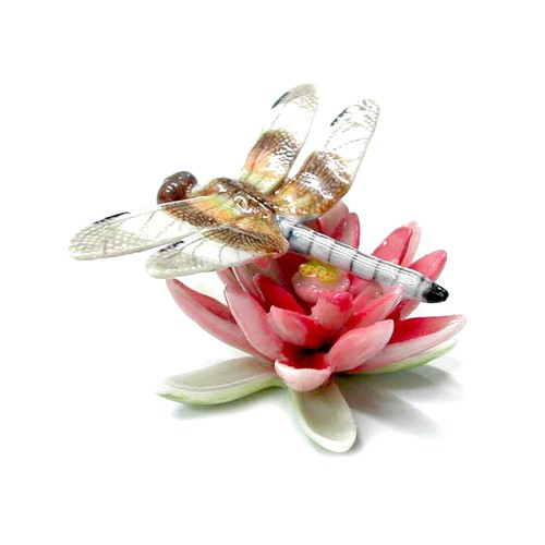 Northern rose dragonfly - northern,