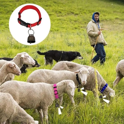 Goat collars with bells - goat,
