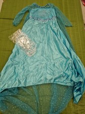 Frozen Dress And Accessories