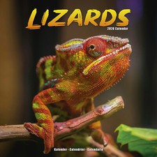 Lizards 2026 Calendar Gift