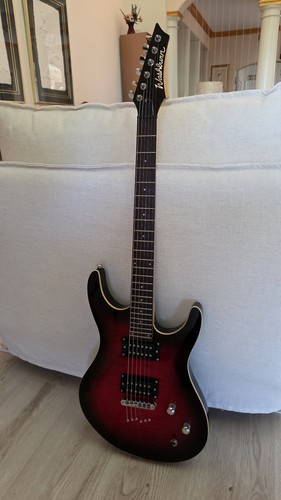 Washburn rx22 2010 - rx22,, flame