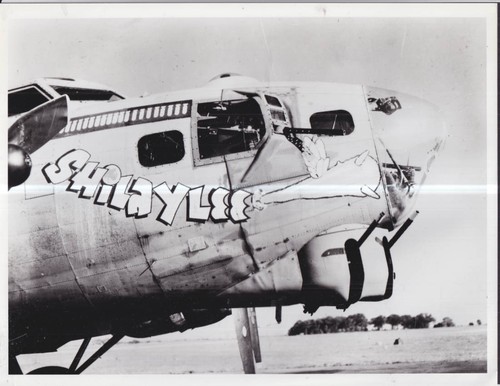 Shilaylee boeing 17g - boeing, 390th