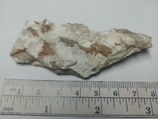 Natural Talc (or similar