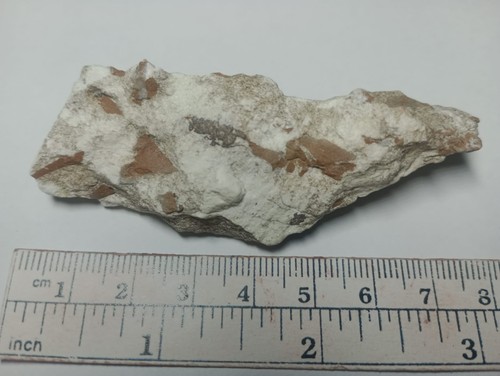 Natural talc similar - natural, (or