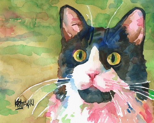 Tuxedo cat high resolution - cat,
