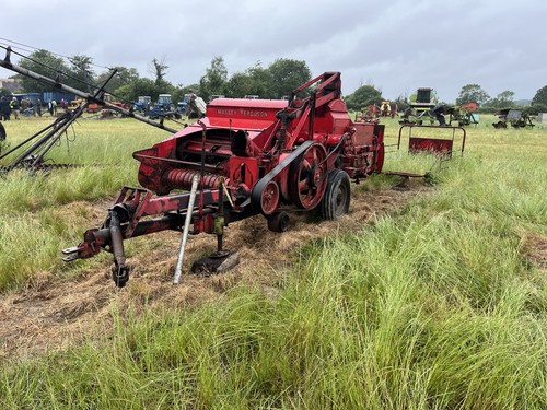 Vintage massey ferguson 701 - vintage,