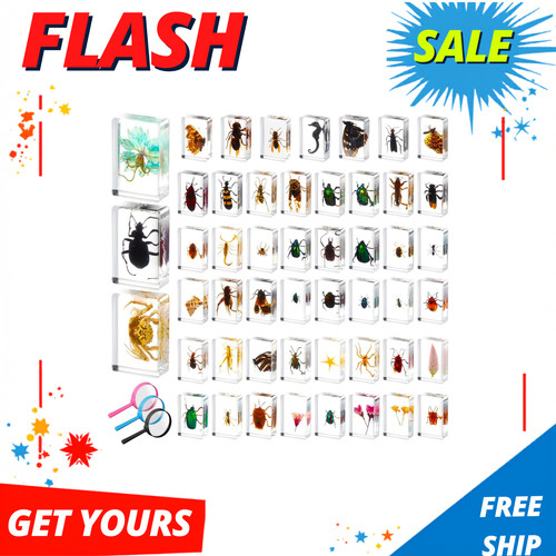 Pcs insect resin - insect,