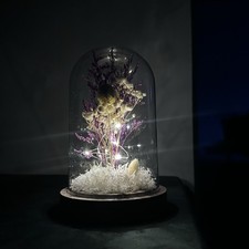 ✨ Elegant Preserved Flower