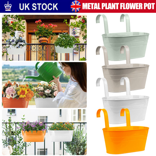 Packs oval metal - metal, plant