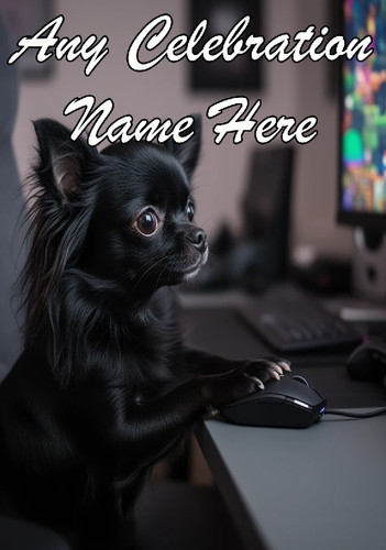 Nai307 chihuahua internet - chihuahua,