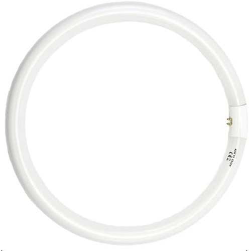 Circular fluorescent lamp