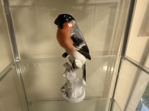 Rosenthal porcelain bullfinch - porcelain,