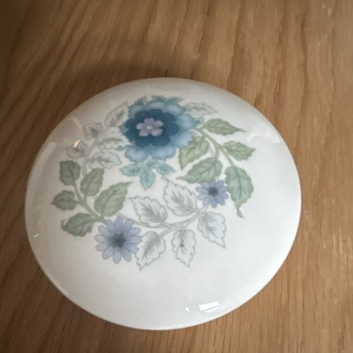 Wedgwood blue clivia - blue,