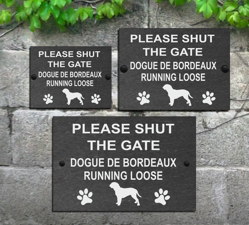 Please shut the - please, gate