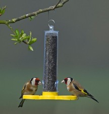 Jacobi Jayne Wild Bird Feeder