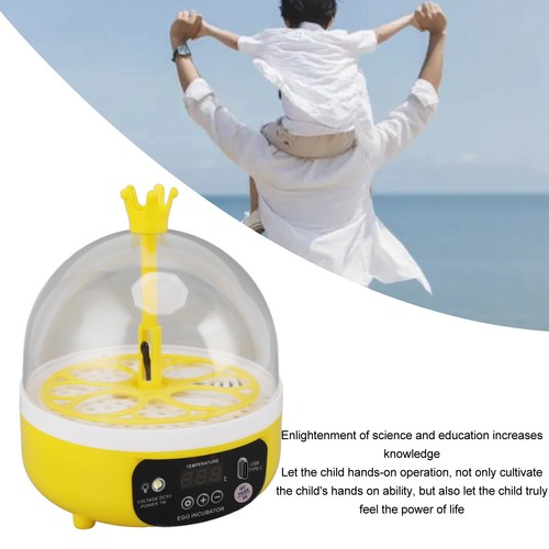 Mini chicken egg incubator - mini, 4