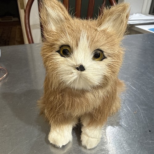Mcm taxidermy style - cat, made