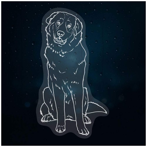 Pyrenean mountain dog static - 'pyrenean, dog'
