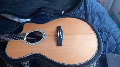 Paul reed smith prs a60e - reed,
