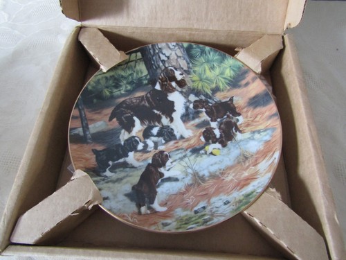 Hamilton collectors plate - collectors,