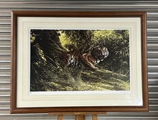 Extremely Large Limited Edition Print Of A Tiger By Spencer Hodge