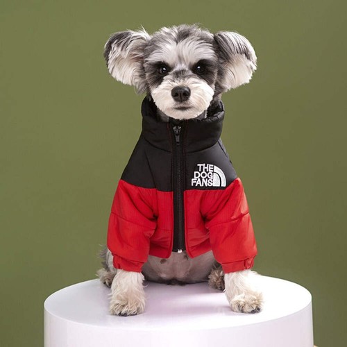 The dog fans face - the, windproof