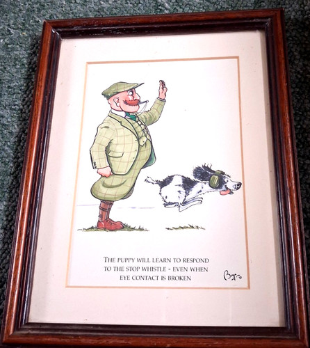Bryn parry cartoon print - bryn,